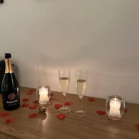 大运河酒店 酒店 代夫特